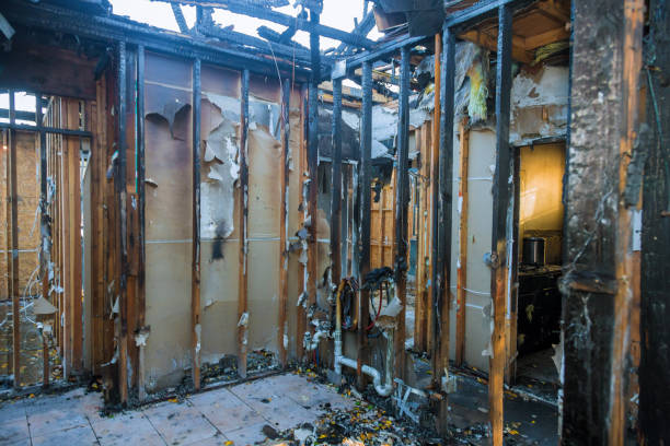 Professional Fire Damage Removal technician working in Glencoe, MN
