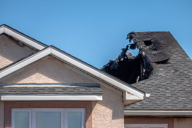 Top rated local Fire Damage Removal specialists in Glencoe, MN